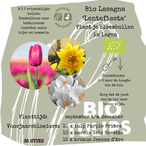 biologische bloembollen lasagna lentefiesta