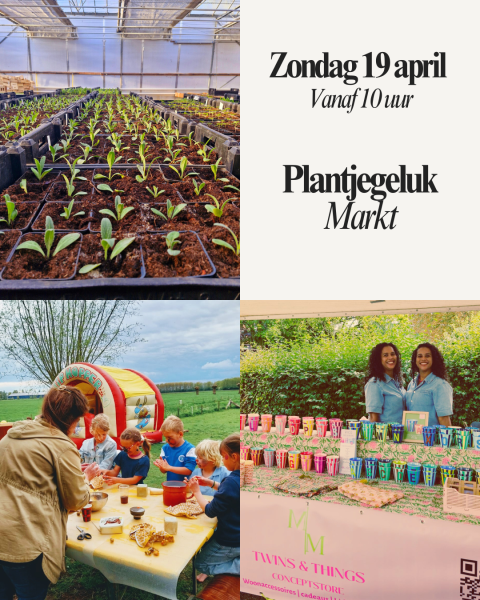Plantjegeluk-markt