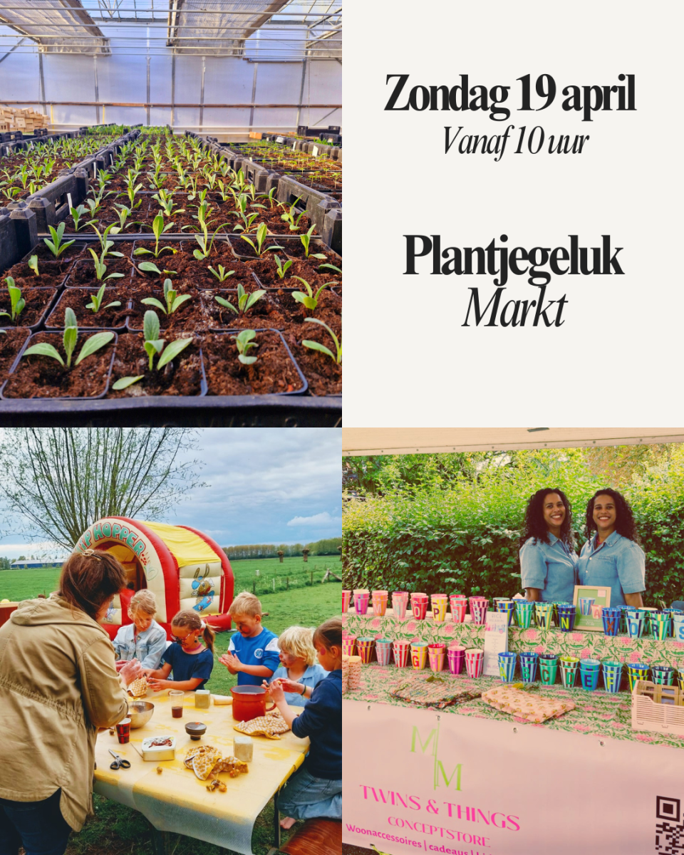 Plantjegeluk-markt