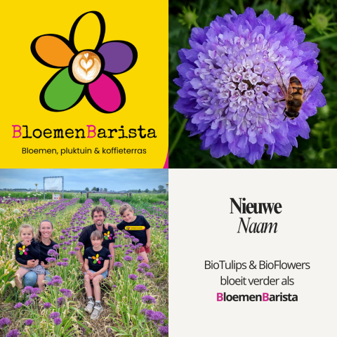 BioTulips & BioFlowers wordt BloemenBarista