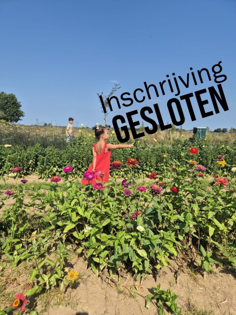 Inschrijving gesloten