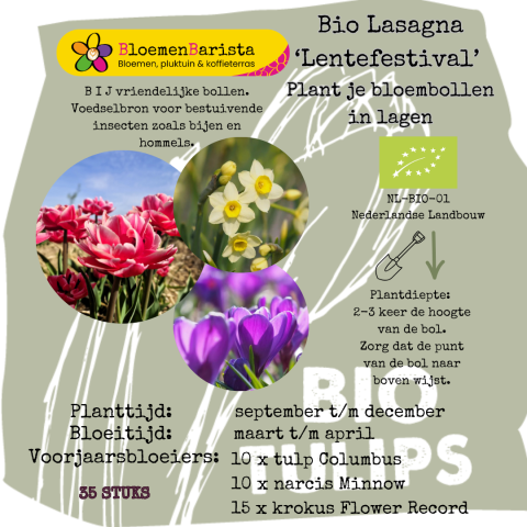 Lasagna Lentefestival.