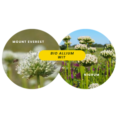 Bio allium wit