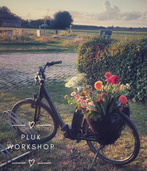 Plukworkshop
