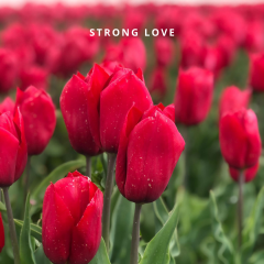 Strong love