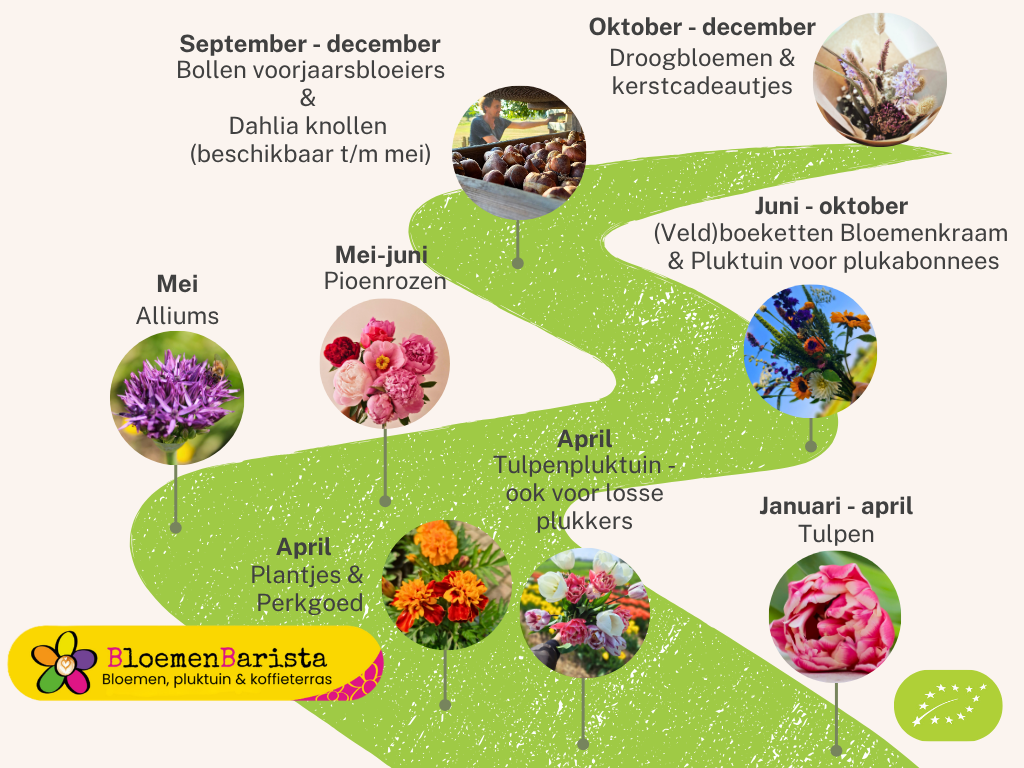Tijdlijn 2026 biologische bloemen